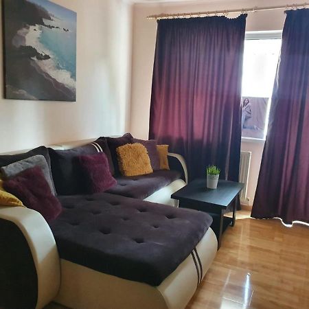 Theodor Residence 阿尔巴·尤利亚· 客房 照片